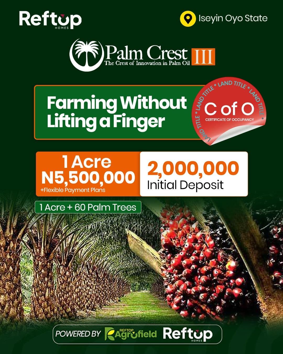 PALM CREST PHASE 3, ISEYIN, OYO STATE: The Crest Of Innovation In Palm Oil