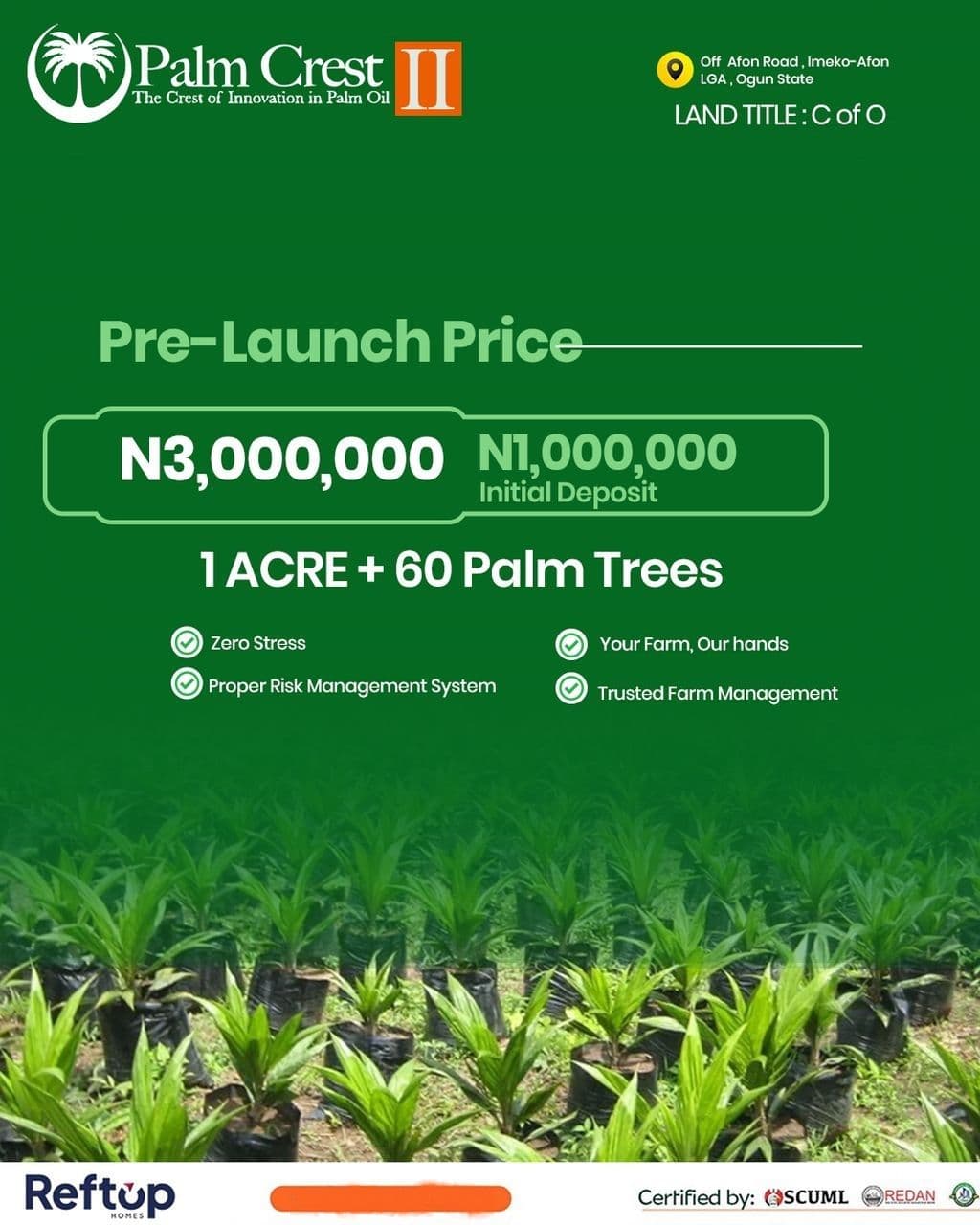 PALM CREST FARM PHASE 2, OGUN STATE: The Crest Of Innovation In Palm Oil