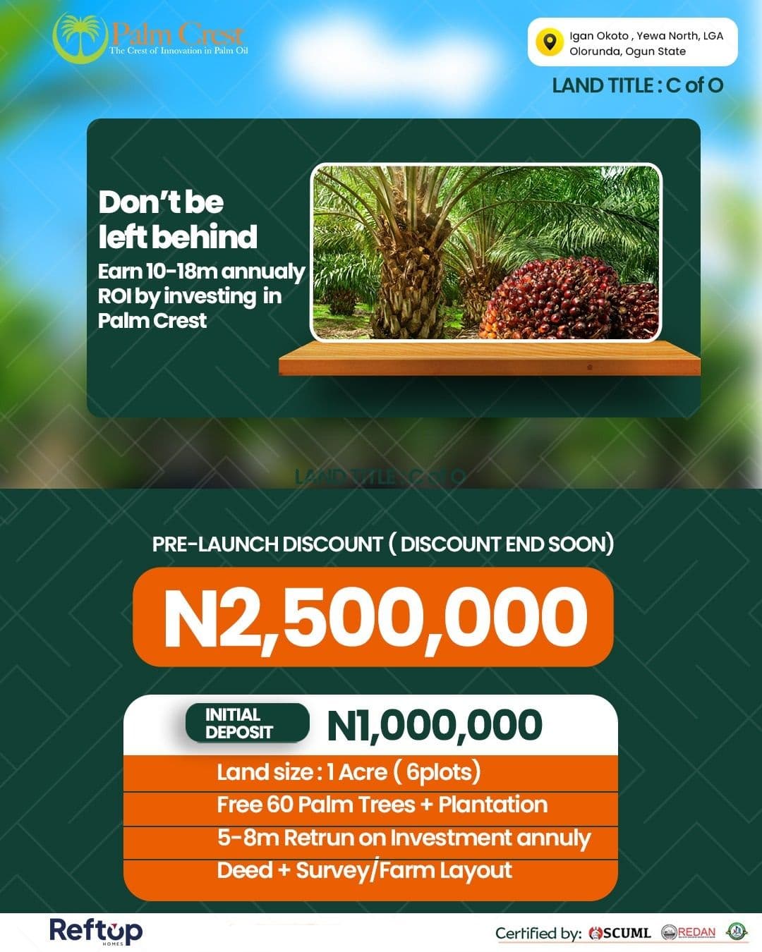 PALM CREST FARM, OGUN STATE: The Crest Of Innovation In Palm Oil